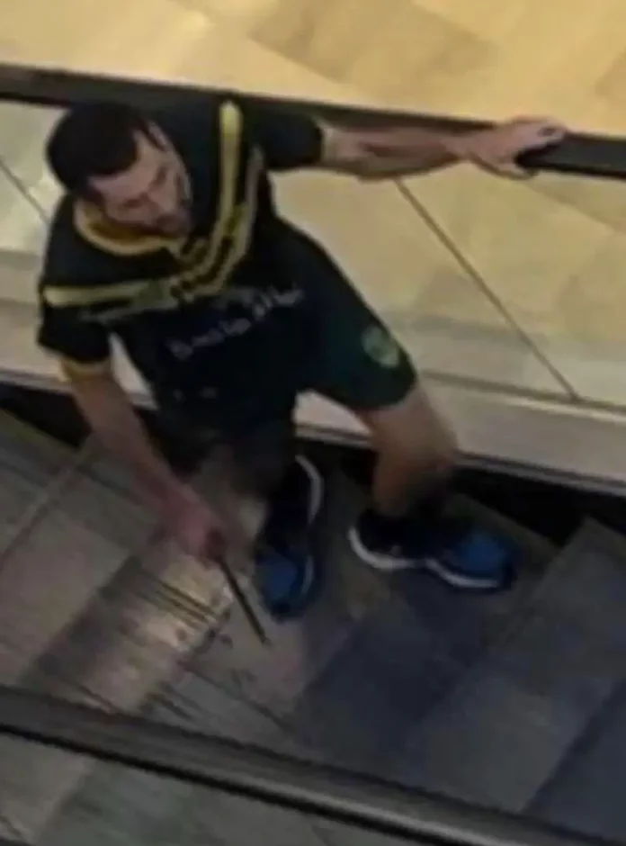 Who Was Sydney Stabbing Suspect Seen Running with Knife in Bondi Junction Westfield